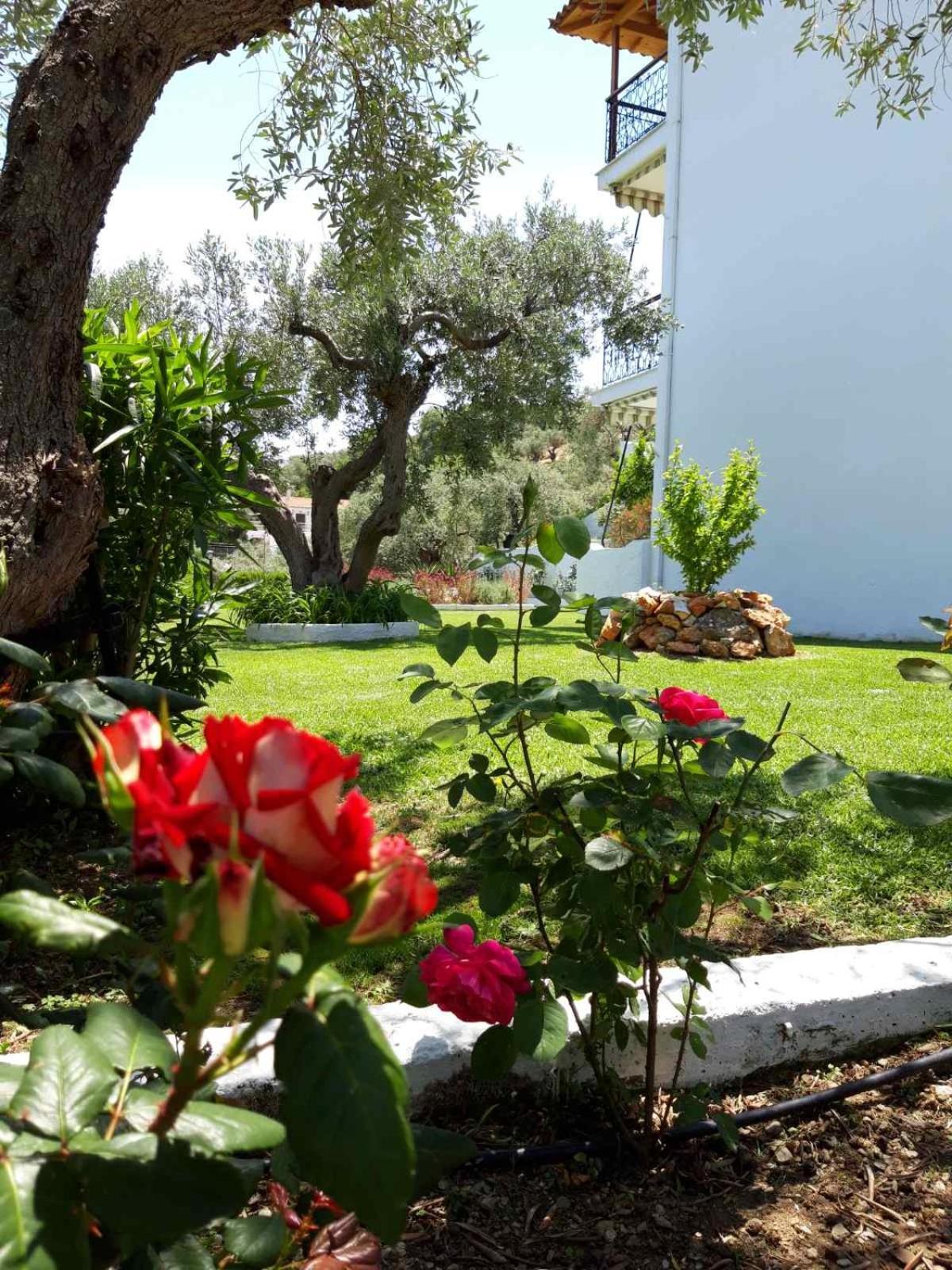 Olive Grove Studios 메갈리 아모스 외부 사진