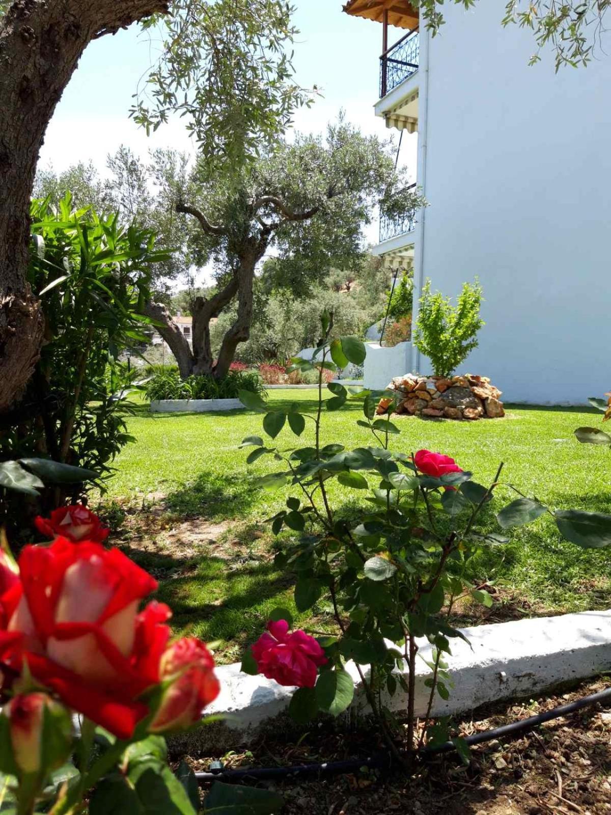 Olive Grove Studios 메갈리 아모스 외부 사진